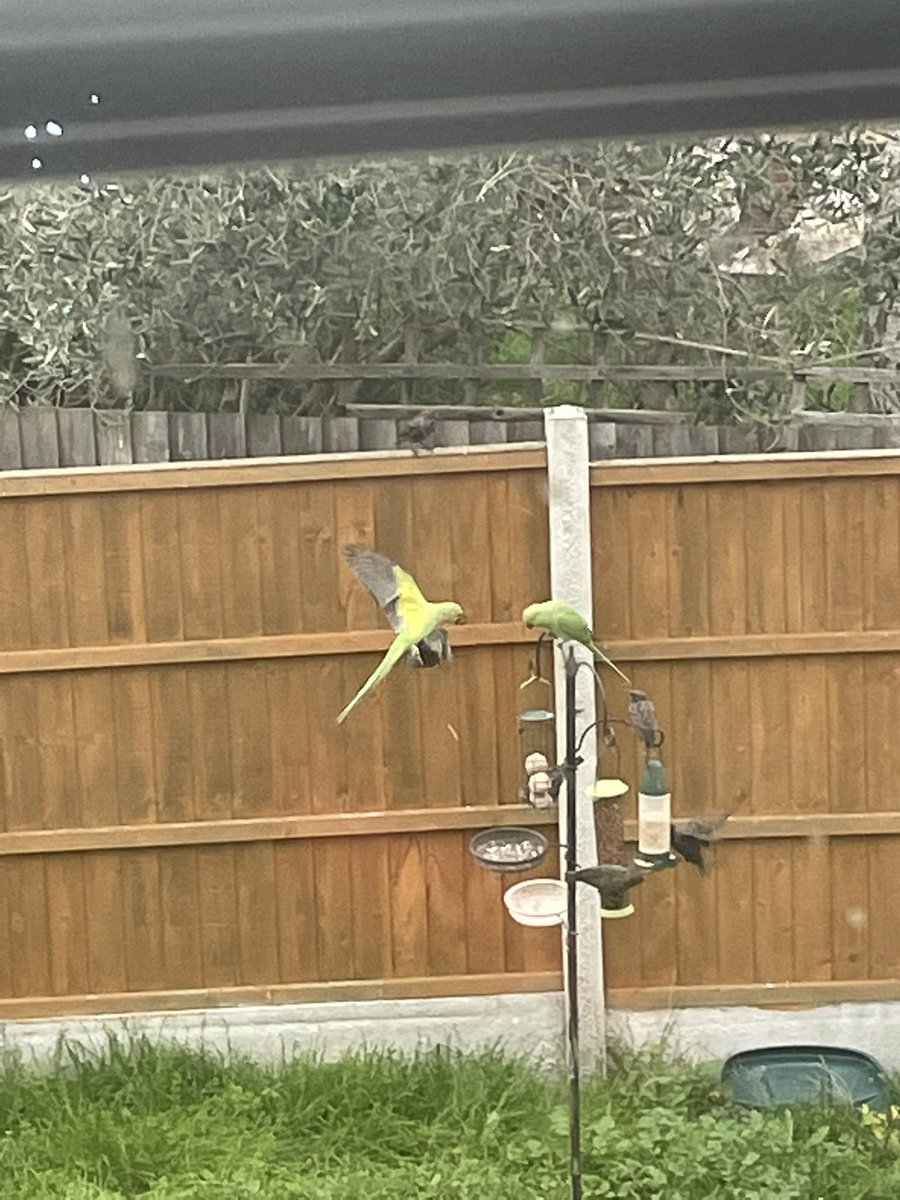 🦕🦖Liz Cox🦖🦕 tweet media