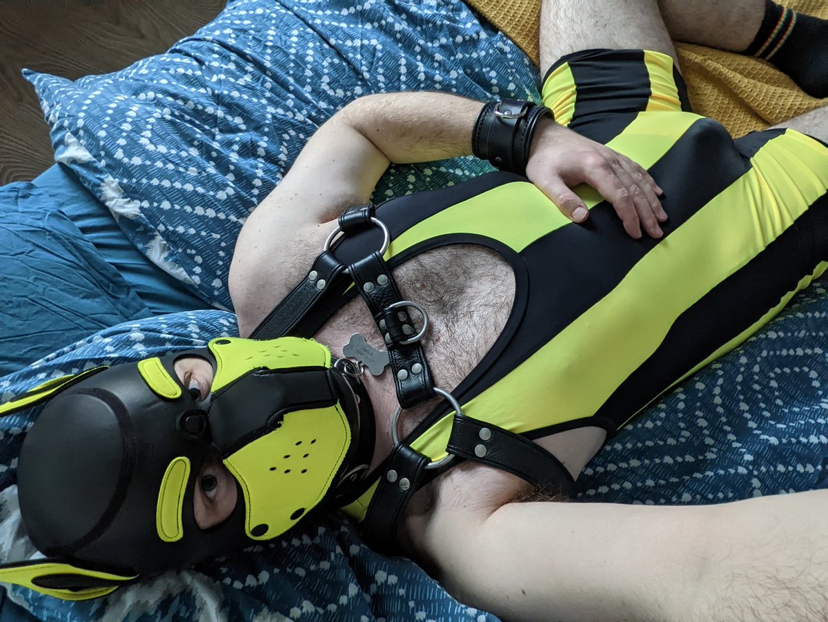 Volfgangbang's tweet photo. Made it to @KennelKlubUK this weekend and got to debut my new @yerwonlondon singlet the lovely @Pup_Drake got me for an early Xmas present. https://t.co/hN39vL61Z8