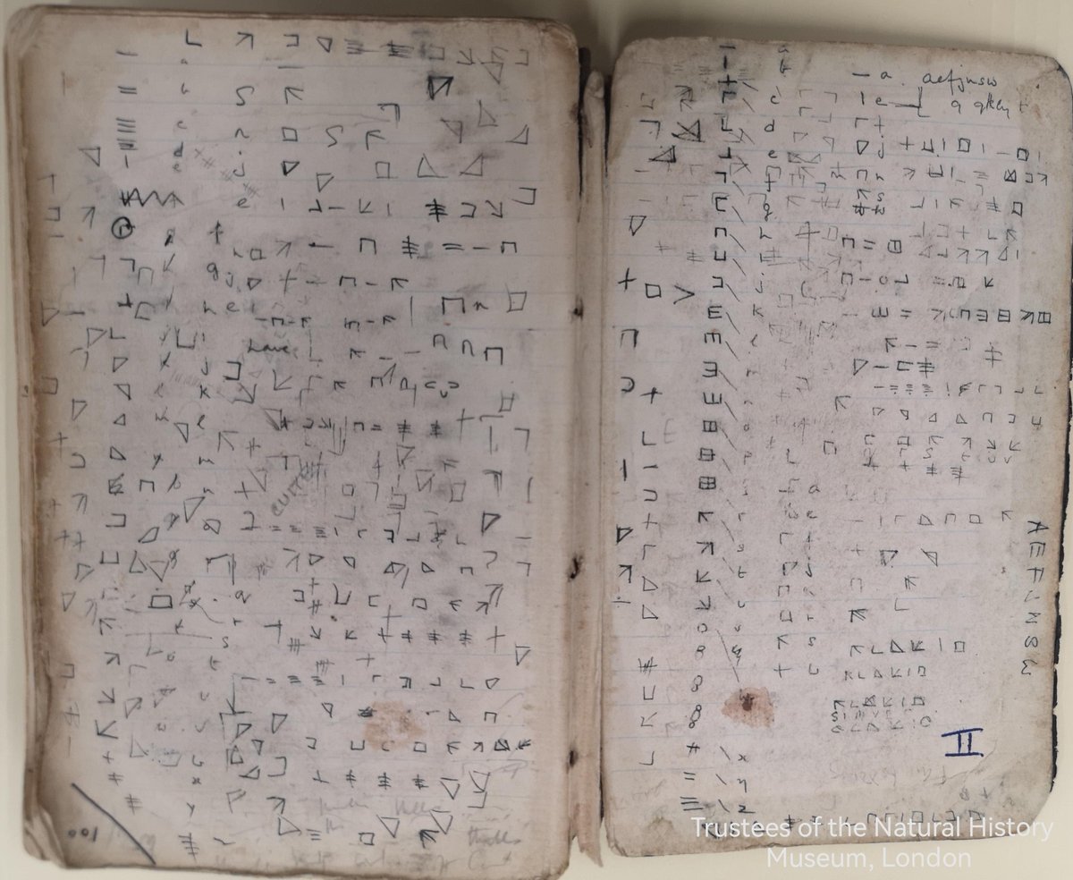 NHM_Library's tweet photo. Our Museum Archive holds documents written in #Languages from all over the world, and even some written in as yet undeciphered codes! This cipher is from the end papers of an expedition notebook maintained by Museum scientist, William Noble Croft #ExploreYourArchive #EYALanguages https://t.co/X2OA1i5U29