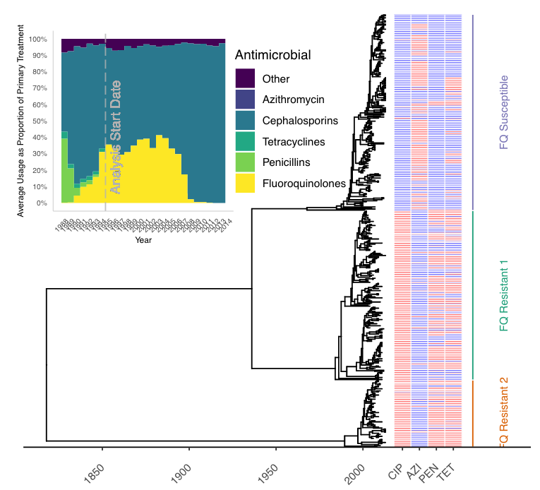 XavierDidelot's tweet photo. New preprint with @DHelekal @MattJKeeling @yhgrad on using phylodynamics to estimate the fitness cost and benefit associated with antimicrobial resistance  https://t.co/k9SrzBXC98 https://t.co/Zc1H93yHzz