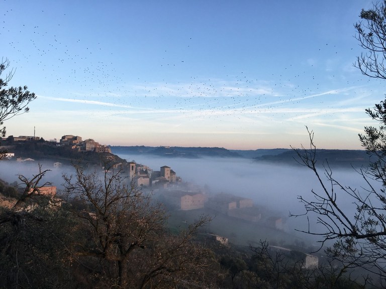 InicioRuta's tweet image. 📷 Oluges, Lérida, Cataluña

#Oluges #Lérida #Cataluña #Viajar #travel #instatravel  #instaviajes #España #Spainstagram #viajarporespaña #viajarporespaña #turismo #turismoEspaña #turismoCataluña #descubrirEspaña #visitaEspaña #visitaCataluña #Addicted_to_Cataluña #IG_Cataluña