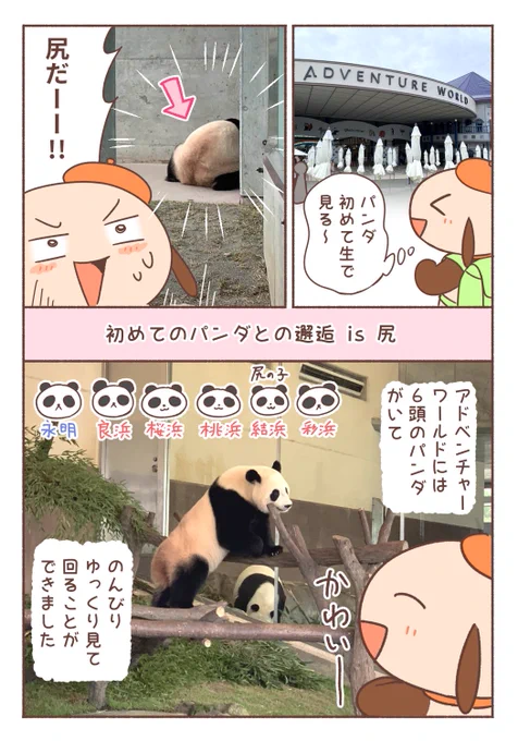 白浜のアドベンチャーワールド楽しかった🐼🐬💃 
