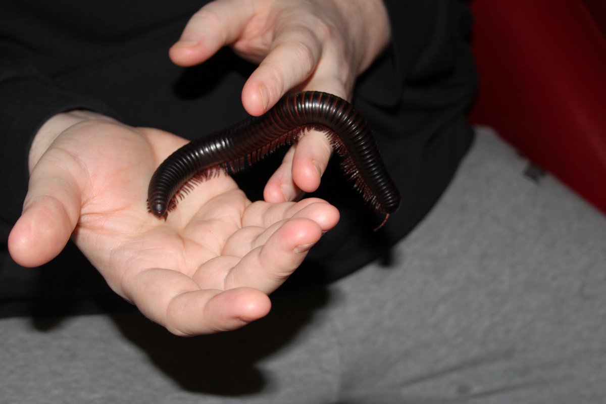 Wathwood Hospital tweet media