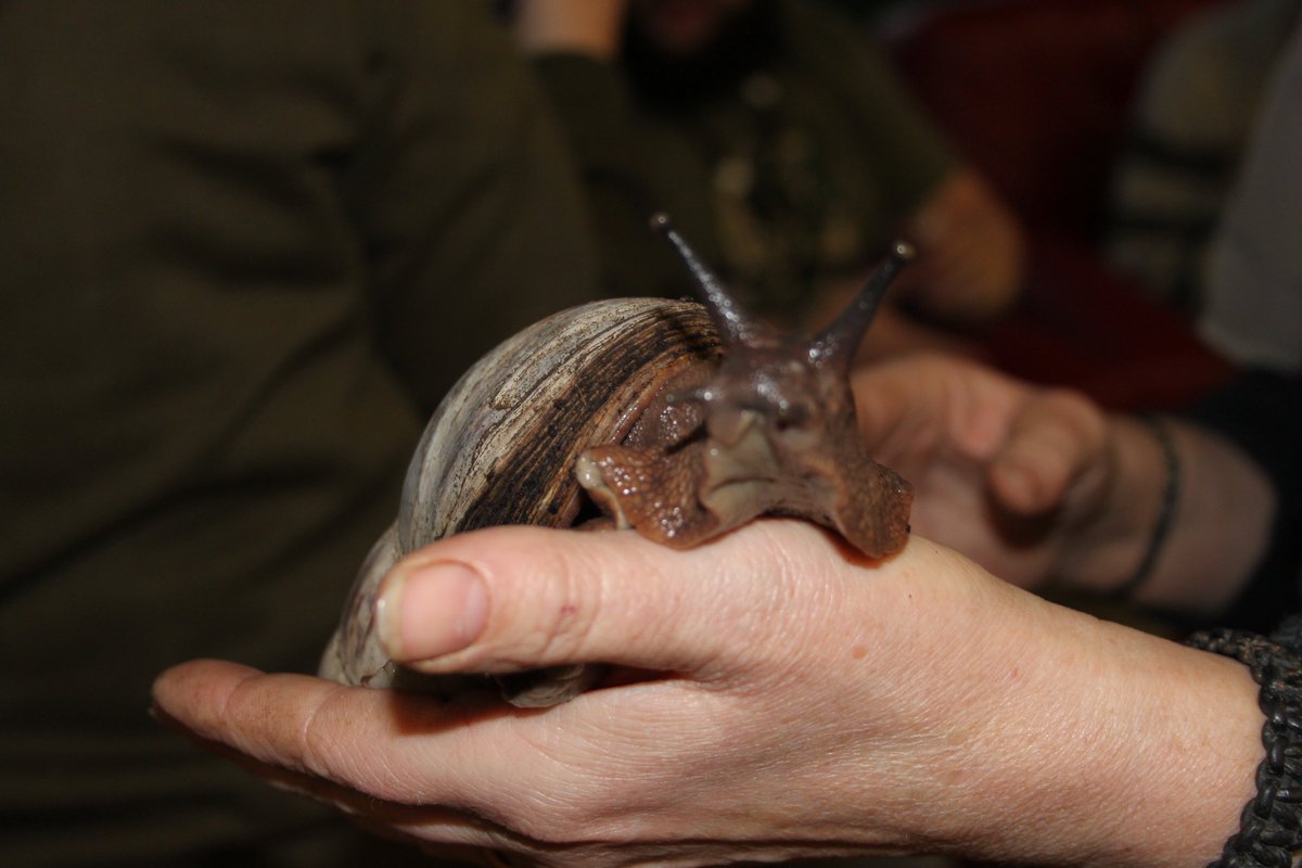 Wathwood Hospital tweet media