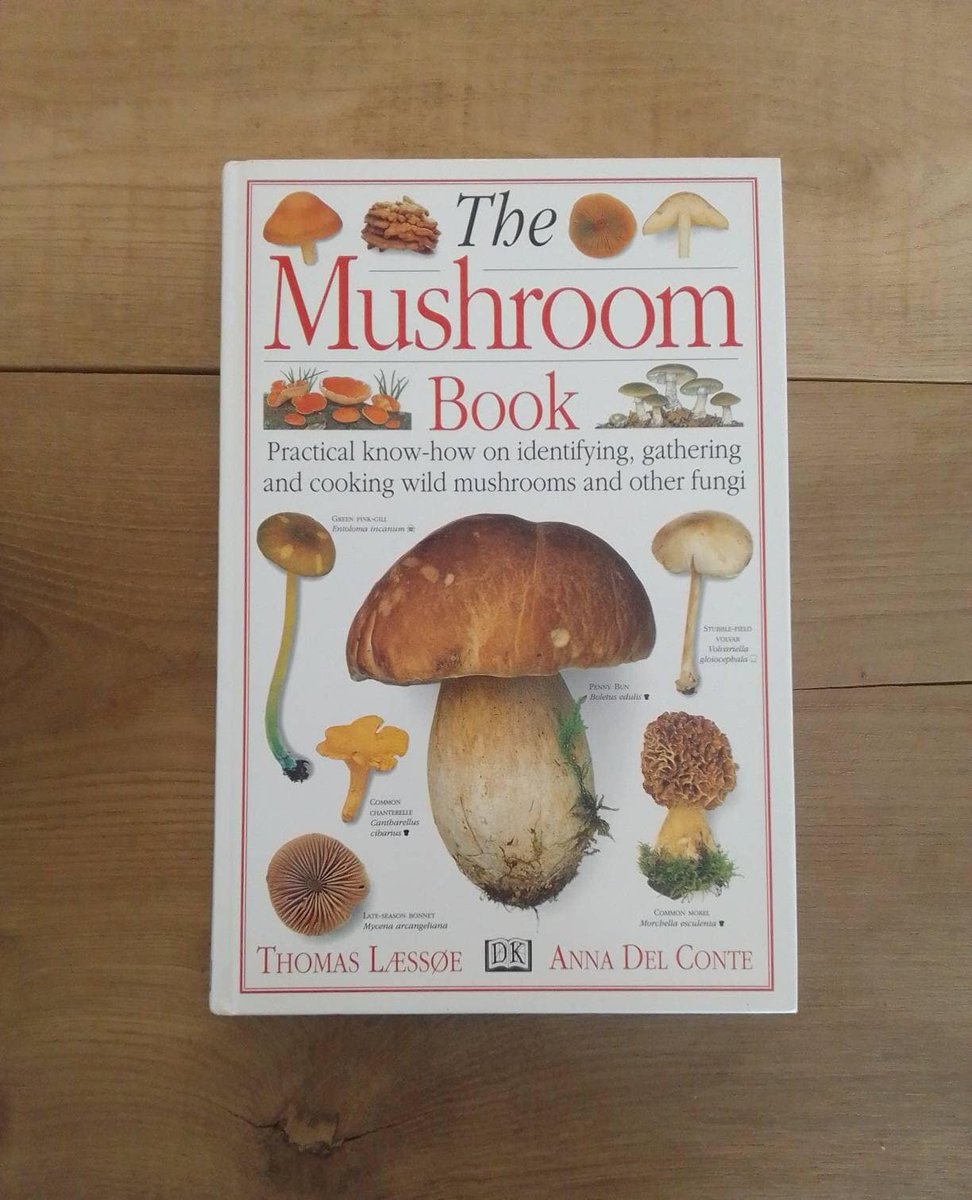 Excited to share the latest addition to my #etsy shop: Vintage Mushroom Book, Foresting Gift etsy.me/3Hjvnlg #white #orange #mushroombook #mushroomdecor #mushroomsvg #vintagemushrooms #guidebook #booklover #toadstoolsdecor