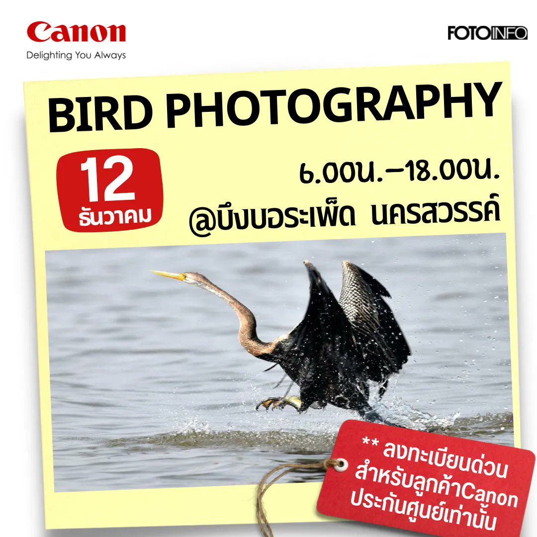 BIRD PHOTOGRAPHY​ บึงบอระเพ็ด จ.นครสวรรรค์  พิเศษเฉพาะผู้ใช้กล้อง Canon ประกันศูนย์ไทยเท่านั้น  12 ธค. 65 <a href="/CanonThailand/">Canon Thailand</a> #ถ่ายนก #บึงบอระเพ็ด  facebook.com/15425892795494…