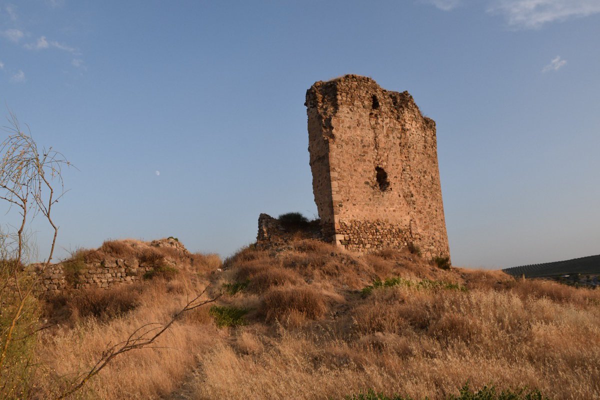 📸Castillo de Gómez Arias en Benamejí 

Fortaleza hispanomusulmana, Bien de interés cultural 

Aparece en la literatura en: El cantar de Gómez Arias, La niña de Gómez Arias (Calderón), Viejo celoso (Cervantes), Feria de los Discretos (Pío Baroja)

<a href="/HispaniaNostra/">Hispania Nostra</a>