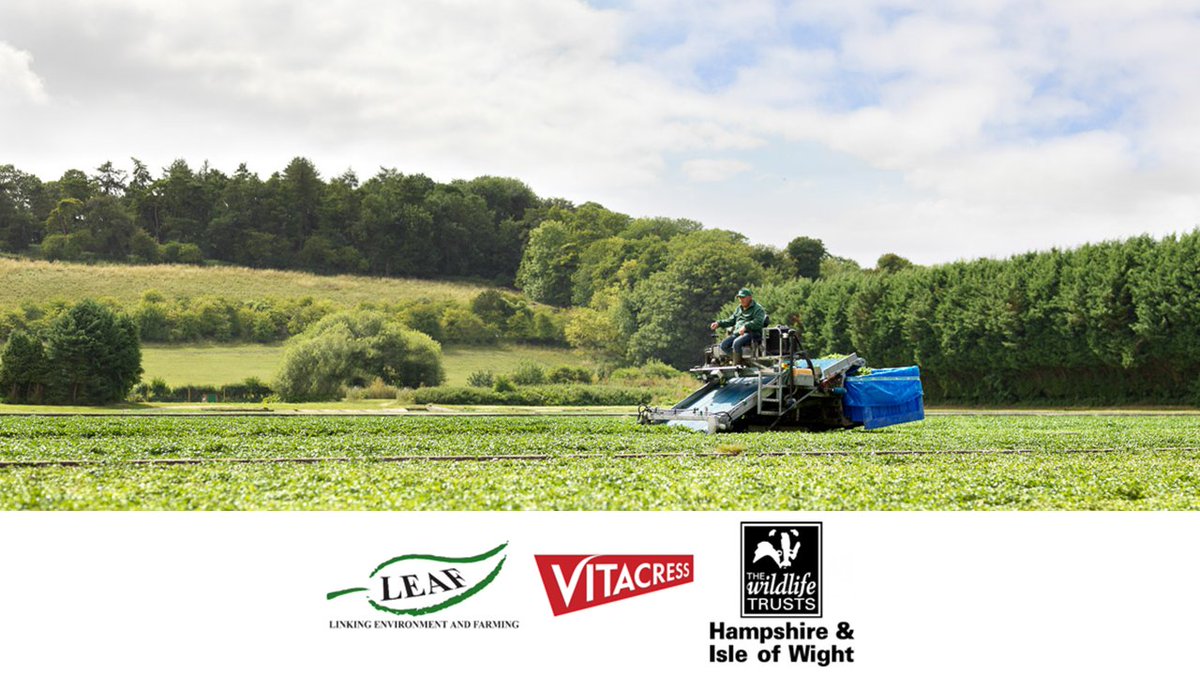 LEAF_Farming's tweet photo. Here’s what #VitacressFarmExcellence farmers are doing to address the #ClimateCrisis through more #regenerative #naturebase growing #LEAFMarque @HantsIWWildlife
🪱Healthy #soils
🐝Enhancing #biodiversity
💧Supporting #water resilience
🪲Integrated Pest Management https://t.co/1hjCtjoqXv