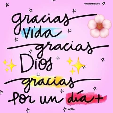 DelValleGreen's tweet photo. 🙏🫧🙏🫧🌸🫧🌸 https://t.co/zteJKu1Rcd
