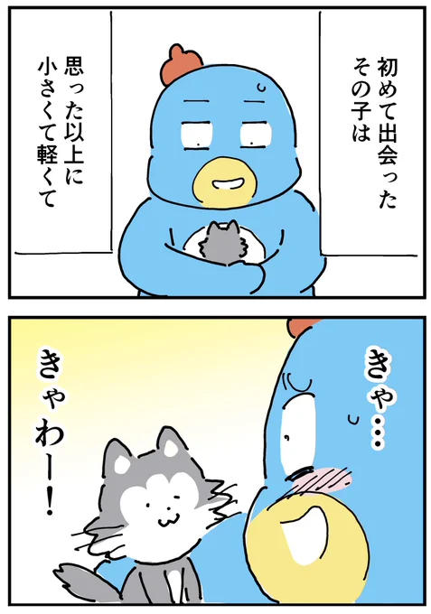 イヌ派の私が子ネコを保護した話⑬
「子猫の心配事」 