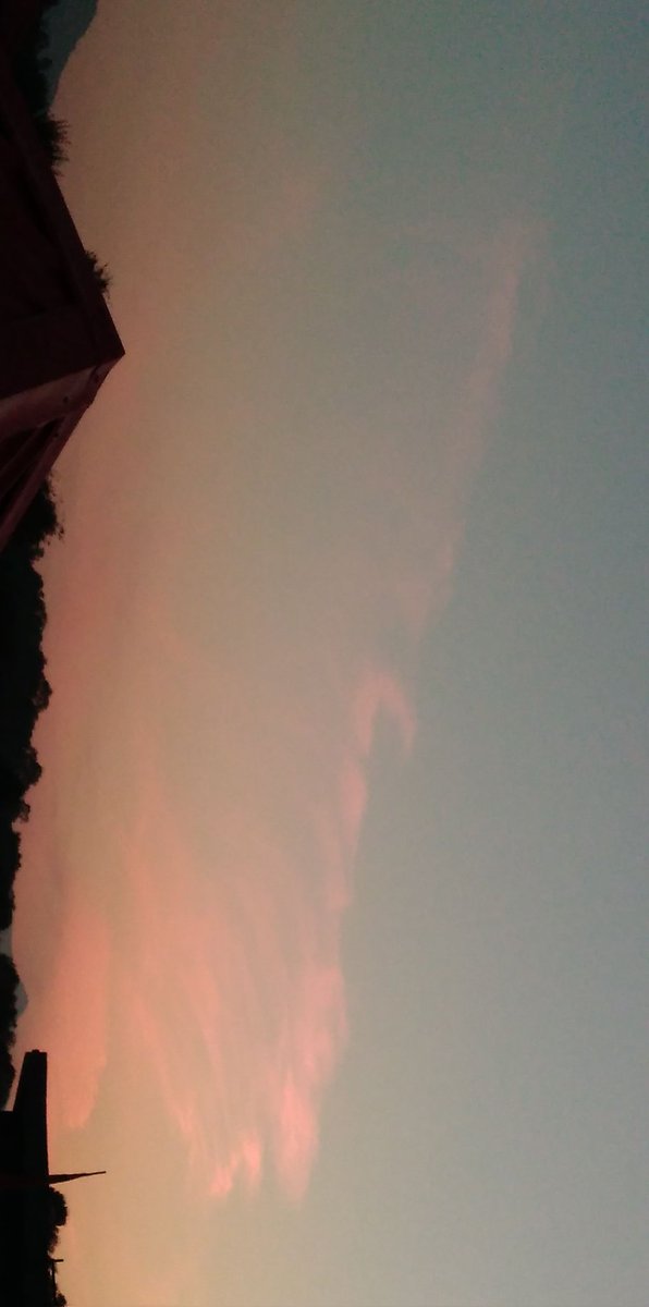 t_mahotal20's tweet photo. Pink skies >>>>>blue ones<3
(sometimes 😂) https://t.co/iqXN1NvLvx