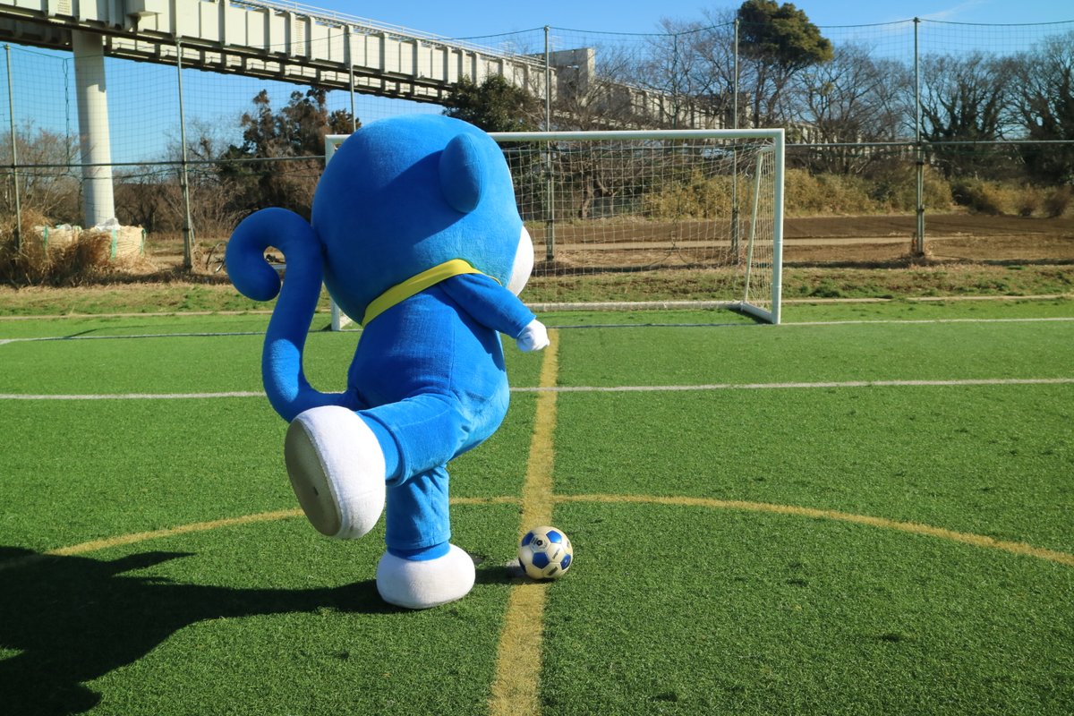 chibamonoPR's tweet photo. ぼく、モノちゃんです！
サッカーワールドカップ盛り上がってるね⚽️
日本代表は、いよいよ決勝トーナメント👍
攻めて‼️守って‼️勝利してね‼️
全力で応援してるよ😍
#SAMURAIBLUE　ぼくもBLUE😆 https://t.co/eQIbn0D3jH