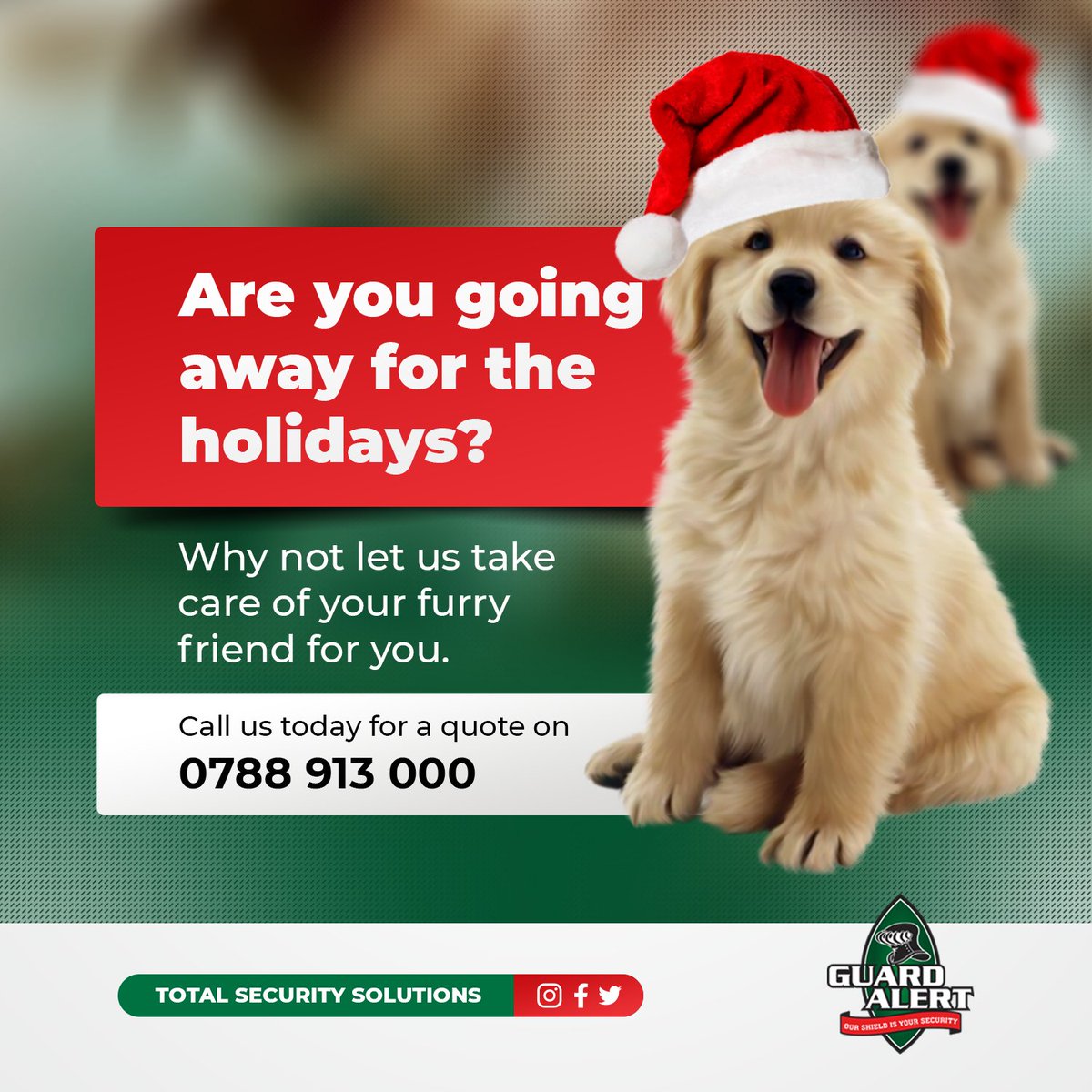 Guard-Alert Security tweet media