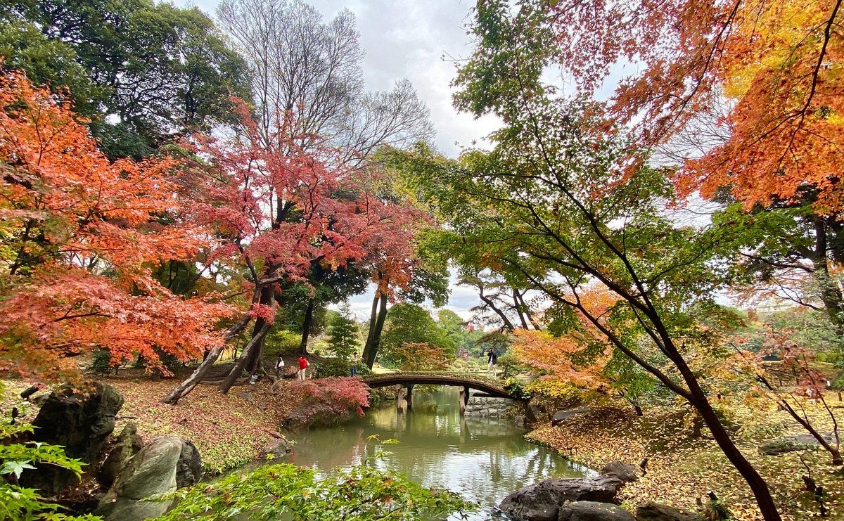 km_group_jp's tweet photo. Rikugien Garden
#tokyodrive #tokyotrip #tokyotour #tokyosightseeing #tokyolife #tokyonow #tokyotravel #thingstodointokyo #東京観光 #mytokyois #thingstodoinjapan #tokyotourism #観光タクシー #kmタクシー #東京観光タクシー #kmtaxi #tokyotokyo #20cheersfortokyo https://t.co/DMWOXtHbOa