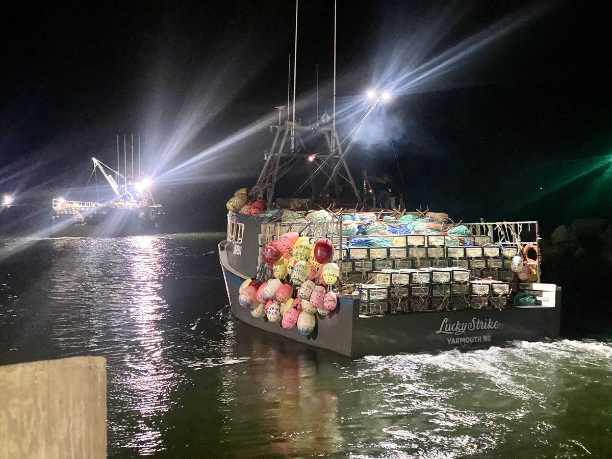 Tina Comeau tweet media