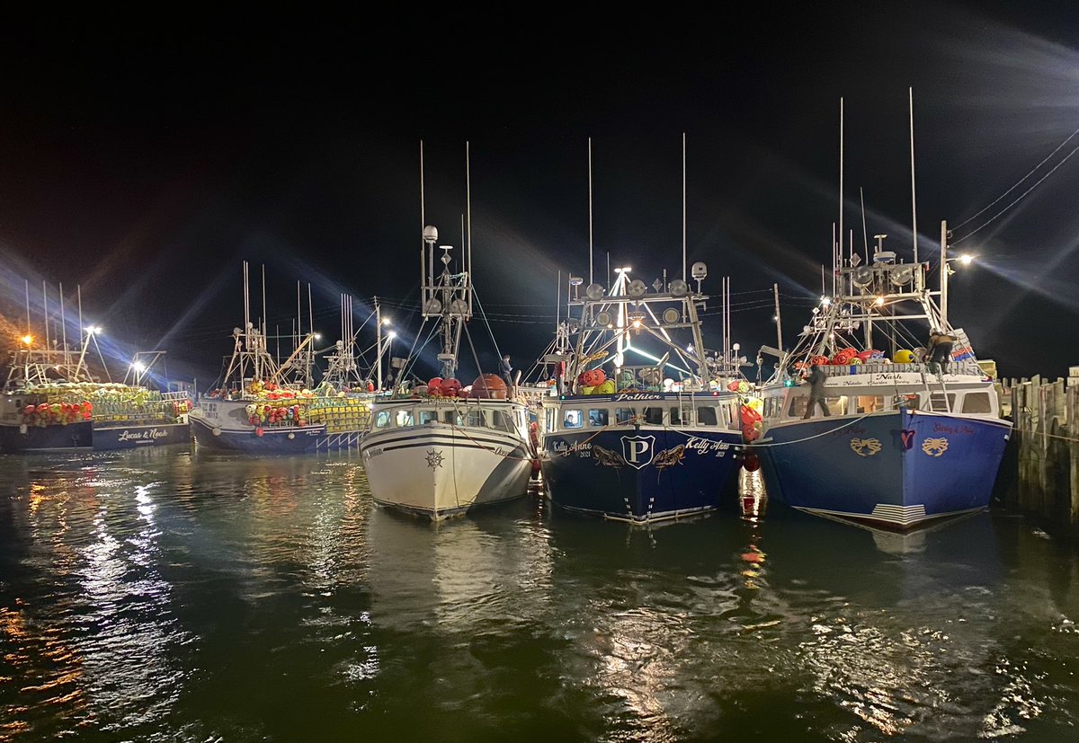 Tina Comeau tweet media