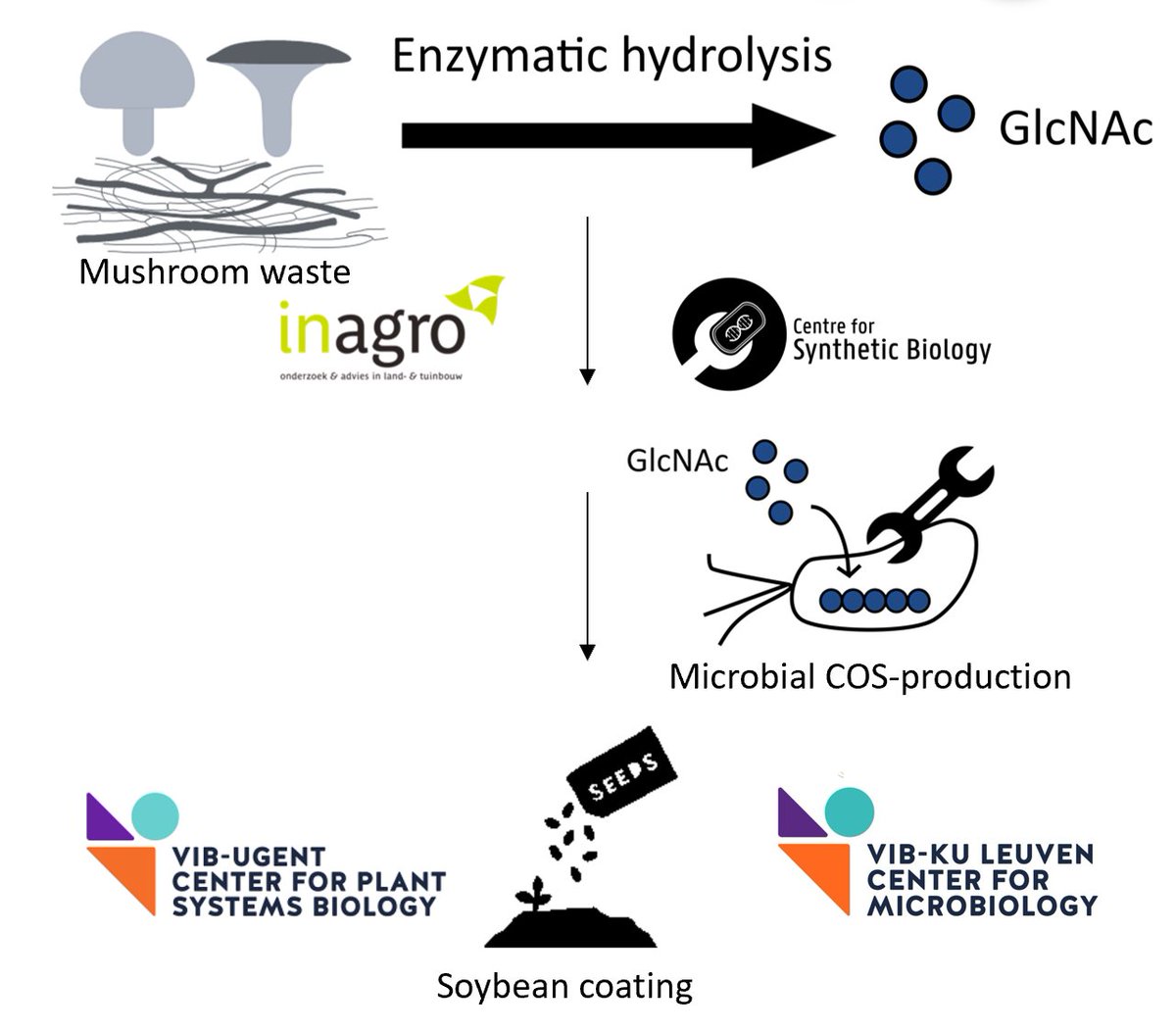 Chiara Guidi (@chiara_guidi_) on Twitter photo Today is #WorldSoilDay! Maintaining soil health is crucial to safeguard soils for future generations. In our MyCOS-project, we opt to convert mushroom waste for sustainable soybean coating. <a href="/CSB_UGent/">Centre for Synthetic Biology</a> <a href="/GoormachtigLab/">Rhizosphere PSB</a> <a href="/LabMichiels/">Michiels lab</a> @InagroBeitem <a href="/FWOVlaanderen/">FWO</a> Today is #WorldSoilDay! Maintaining soil health is crucial to safeguard soils for future generations. In our MyCOS-project, we opt to convert mushroom waste for sustainable soybean coating. <a href="/CSB_UGent/">Centre for Synthetic Biology</a> <a href="/GoormachtigLab/">Rhizosphere PSB</a> <a href="/LabMichiels/">Michiels lab</a> @InagroBeitem <a href="/FWOVlaanderen/">FWO</a>