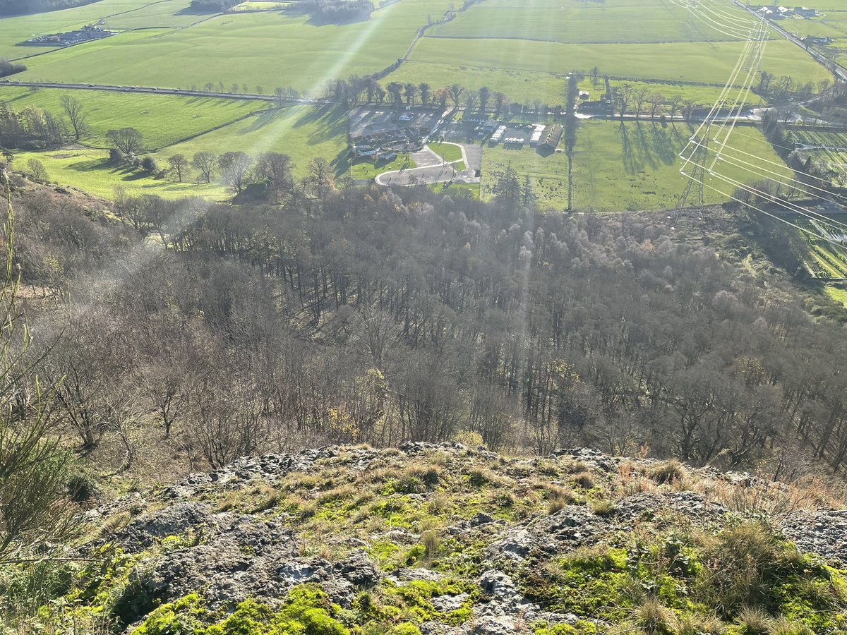 Mr C Beer tweet media