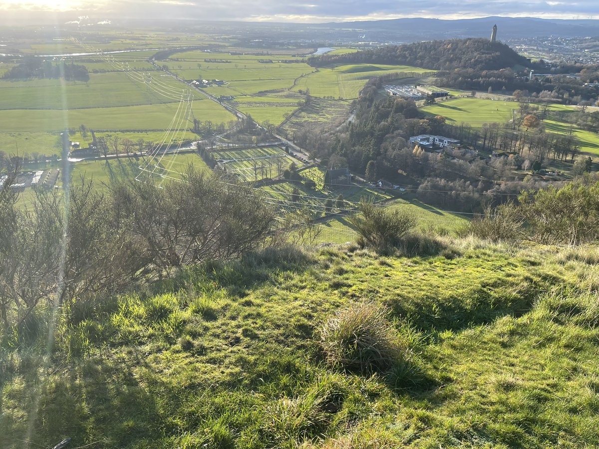 Mr C Beer tweet media