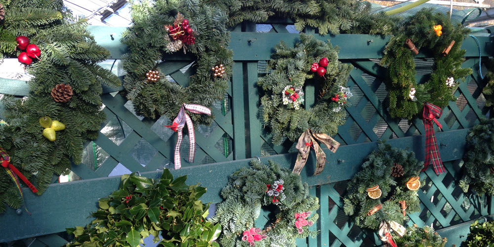 WoolpitPlants's tweet photo. Lots of lovely Christmas Wreaths all hand made by the Woolpit elves 🎄🎄🎄 #Christmas #Christmaswreaths #WoolpitNurseries https://t.co/Pc8VfGeWne https://t.co/gYbDskgssP