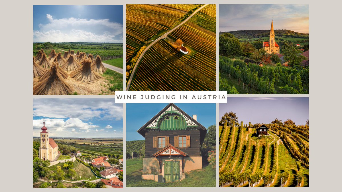 This May, the IWSC will be taking a panel of international judges, including Master of Wine, Dirceu Vianna Junior to Austria, to taste entrants to its 2023 wine awards.

A great opportunity for producers to put their wines on the global stage, discover more on our website