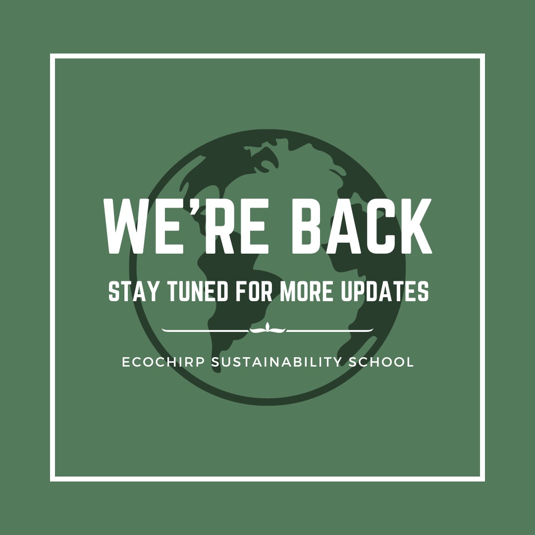 ecochirp's tweet photo. We've been inactive for quite a while now.

We're back with some major announcements over the next few weeks. 

Stay tuned for updates ahead. 

#ecochirp #rebuildingecochirp #enviactivist #wastemanagement #wastefree #sustainableliving #sdgs #cop27 #Sustainability https://t.co/4shDc7g8Ot