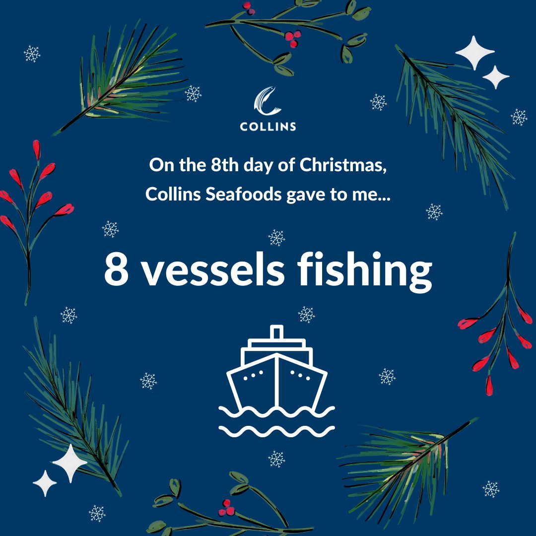 collinsseafoods's tweet photo. Our impressive fleet of #FrozenAtSea vessels bring home only the finest quality #fish for our fantastic customers. #12DaysOfChristmas https://t.co/Vr1eDSxFaH