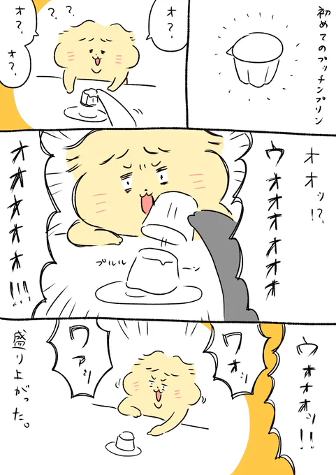 初プッチン 