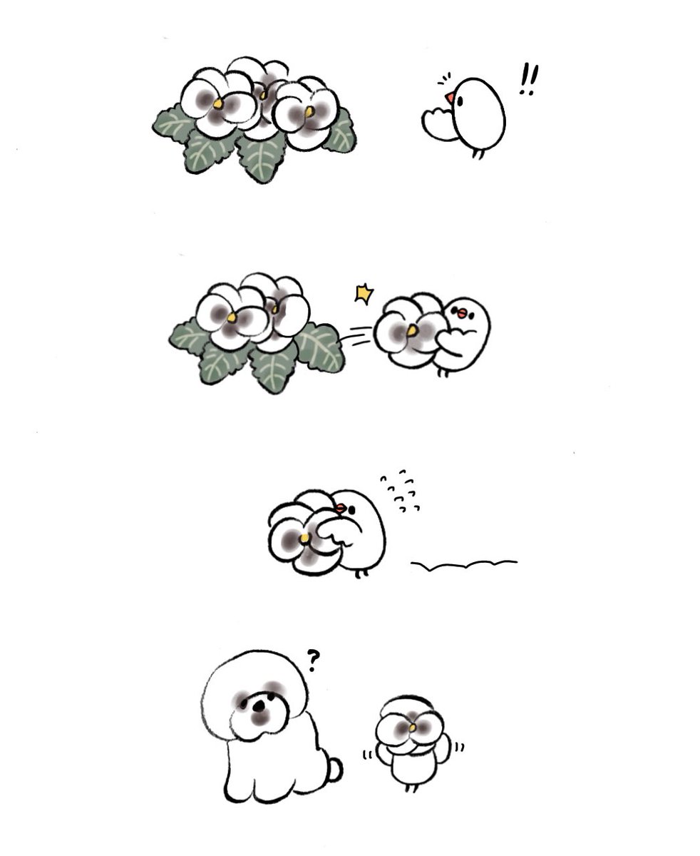 パンジーとぶんちょとアフロ犬 