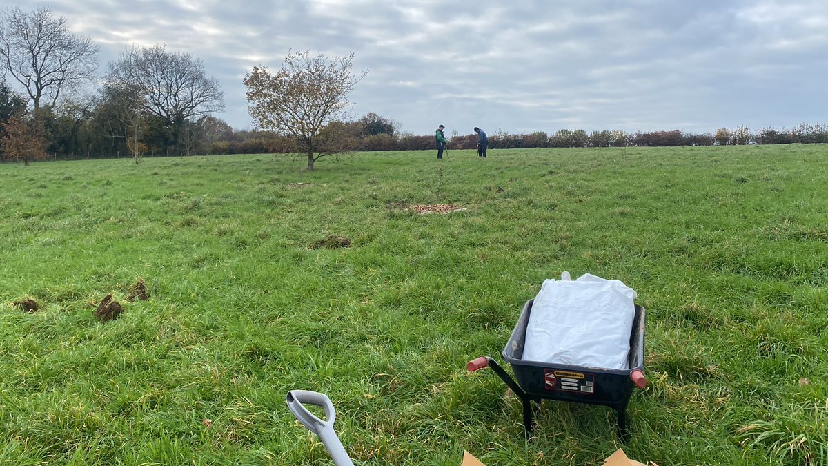 Tree planting at site today. Not a bad day for it <a href="/CynonTafHousing/">Cynon Taf Housing</a> <a href="/CwmTafCandR/">CwmTaf Care & Repair</a>