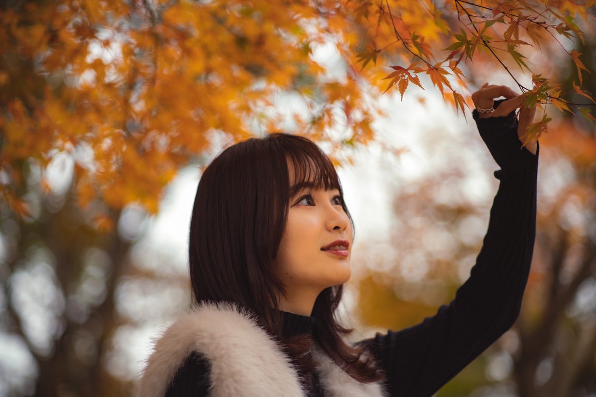 _yuhimomo_'s tweet photo. 冬の足音を聴いて🍁⠜
散る前に！と駆け込んだ紅葉狩り。 https://t.co/E19MDZ0Vmk