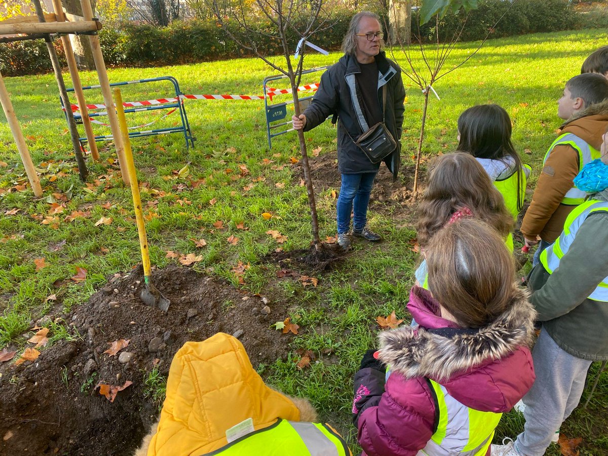 ChapuisGautier's tweet photo. Début des plantations annuelles des vergers municipaux à #Lyon !

Un verger planté par an et par arrondissement, avec ici celui du 1er au Jardin de la butte 🍎

Des espèces locales, plantées avec les enfants. 

#Vergers https://t.co/vVbKhoAfB2