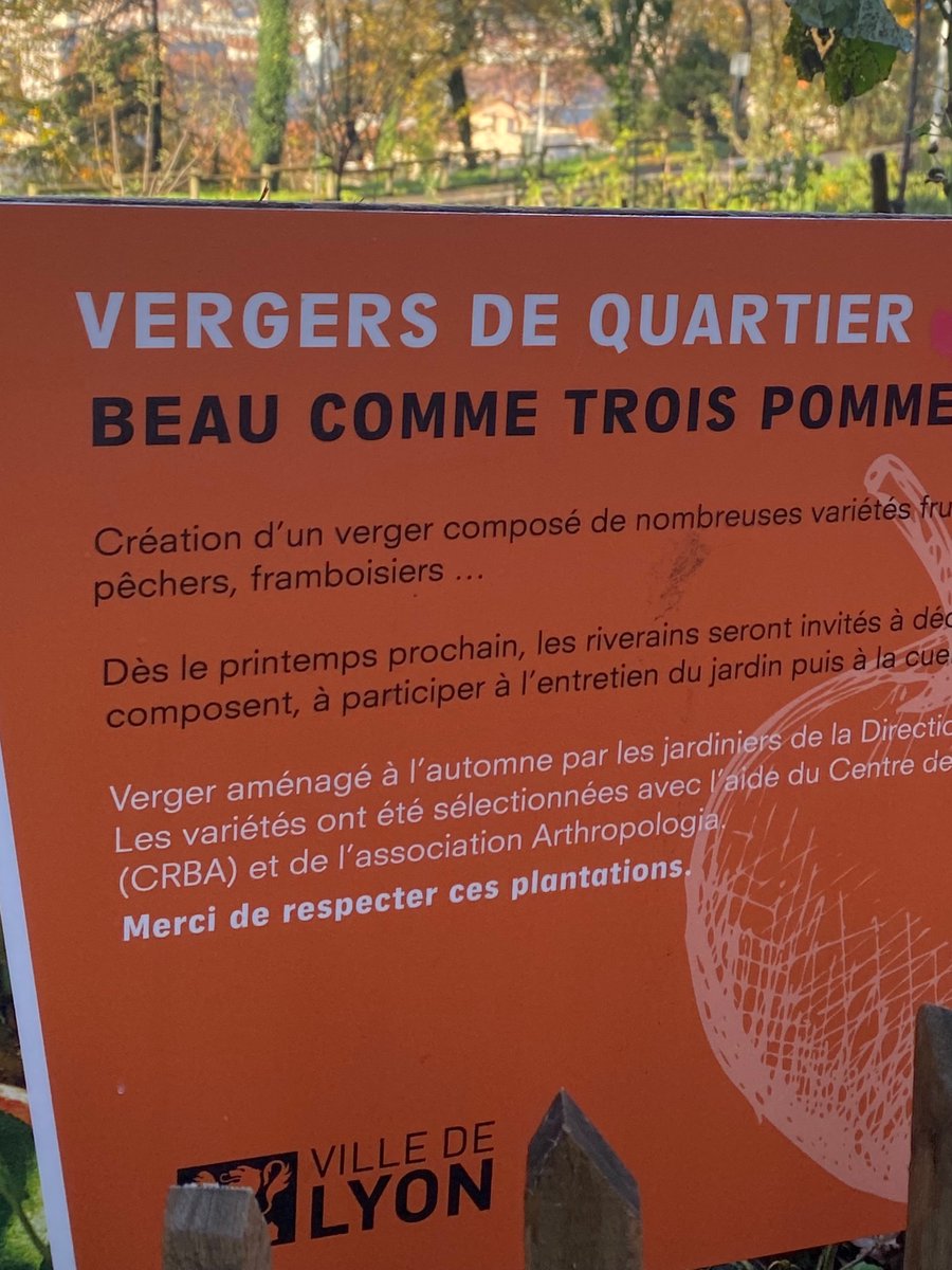 ChapuisGautier's tweet photo. Début des plantations annuelles des vergers municipaux à #Lyon !

Un verger planté par an et par arrondissement, avec ici celui du 1er au Jardin de la butte 🍎

Des espèces locales, plantées avec les enfants. 

#Vergers https://t.co/vVbKhoAfB2