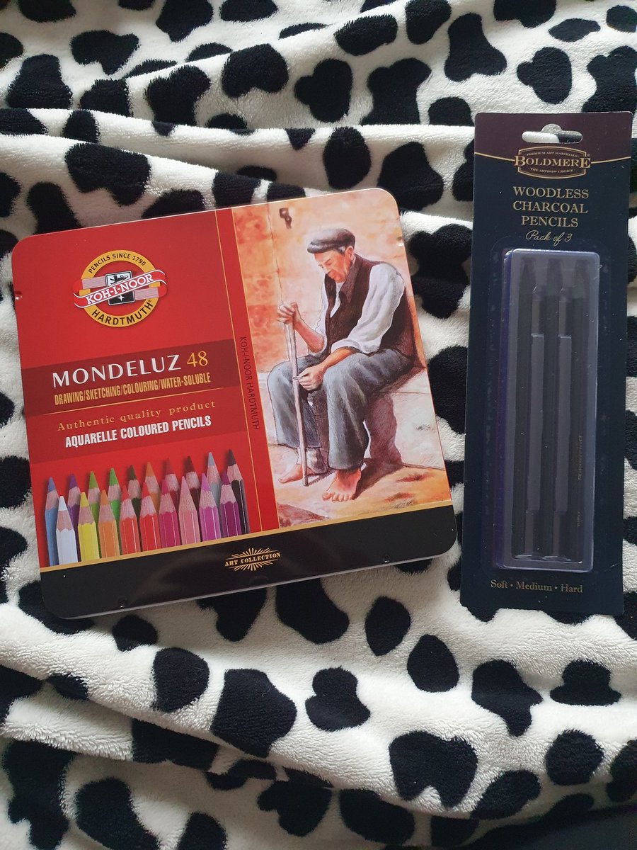 weemushroomart's tweet photo. Birthday gifts - best brand of coloured pencils I've tried and some charcoal pencils since I've been loving using charcoal recently 🥰☀️ https://t.co/NhqQVFWROD