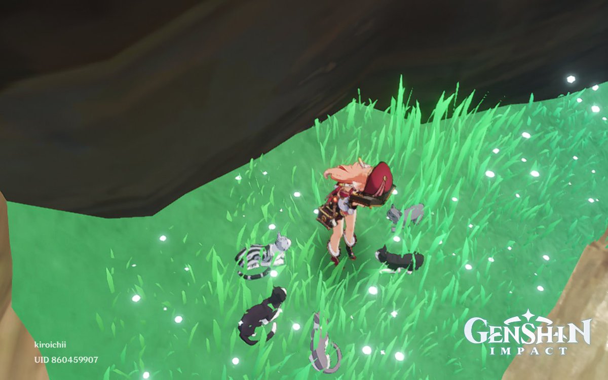 This was taken long ago, I love catsss