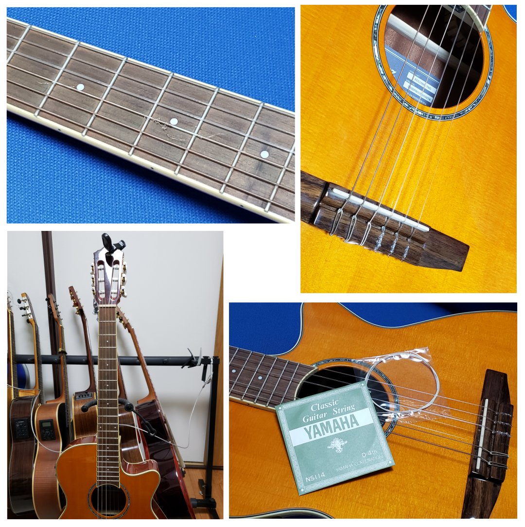 メイルオーダー ヤマハ YAMAHA FS551 アコースティックギター用 バラ弦 1弦×2本
