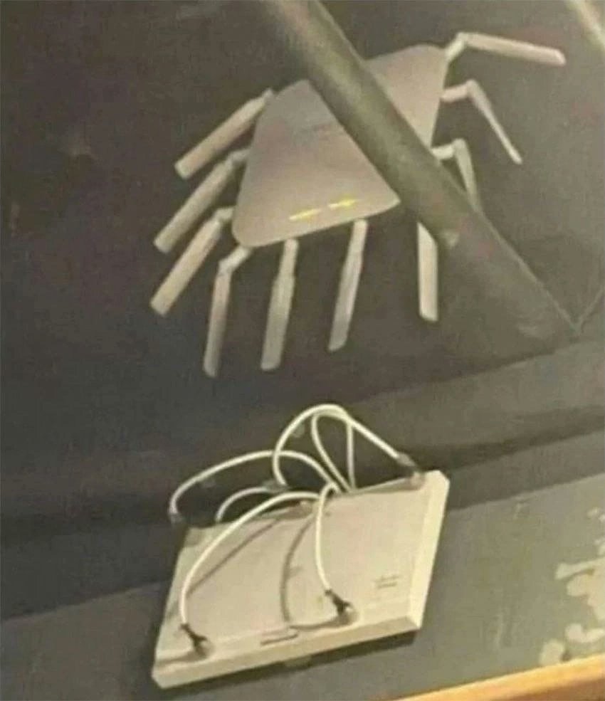 Плотоядный Типикал Линукс подкрался к мирно пасущемуся детёнышу Кинетикуса
Природа диких роутеров удивительна