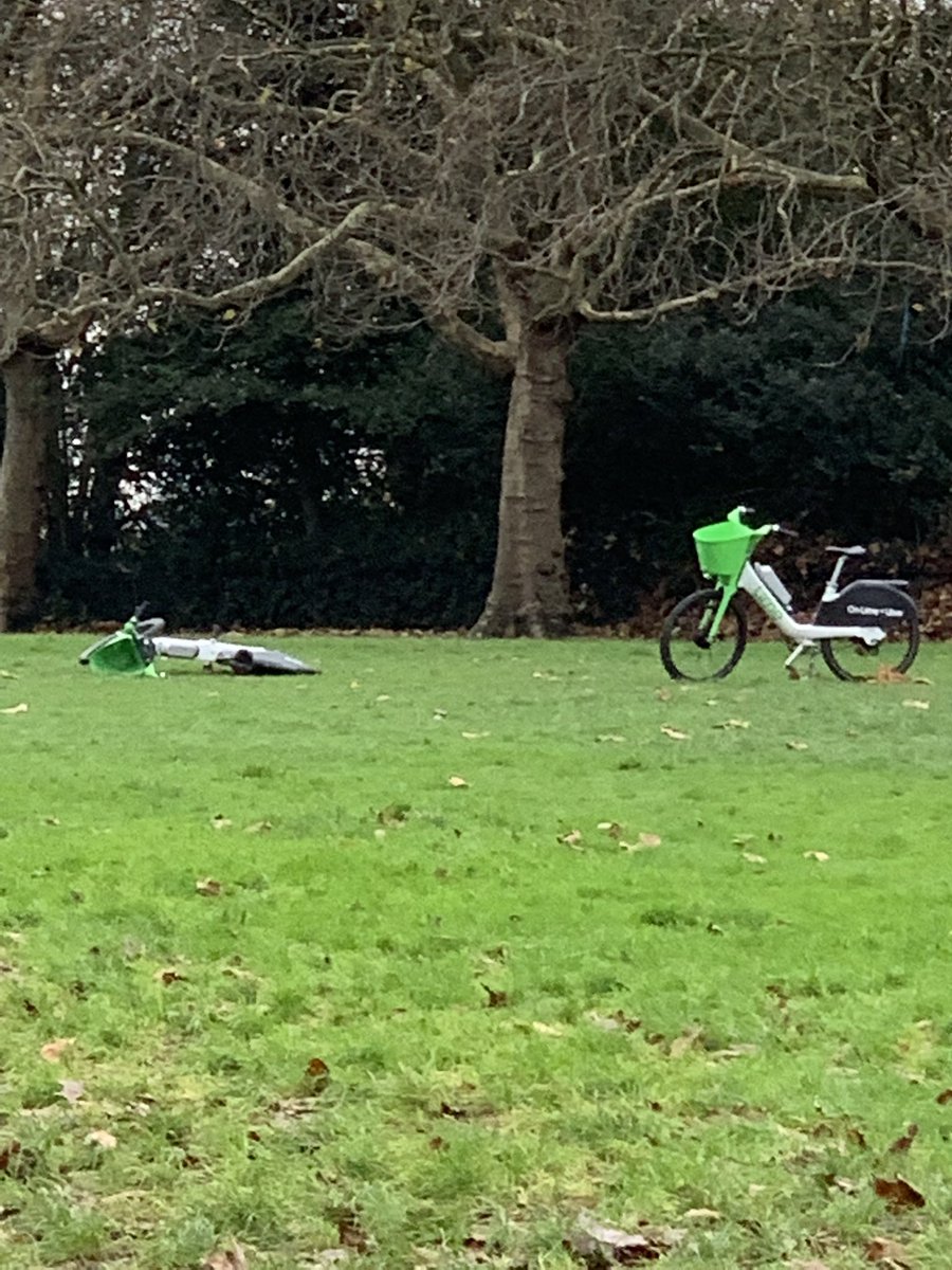Pet_Active's tweet photo. These @limebike are such a pain. They are littered everywhere. Currently two just left in the middle of Point Hill park. @Royal_Greenwich something needs to be done about this. https://t.co/qdrvTNS6Ht
