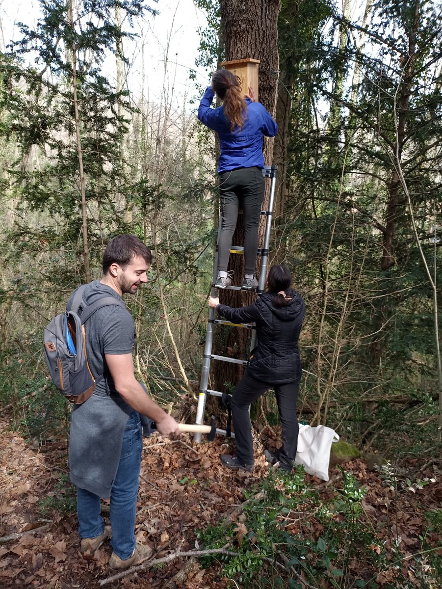 ProjecteLiro's tweet image. Amb motiu del #DiaInternacionaldelVoluntariat volem agrair a tothom qui d&apos;una manera o altra posa el seu granet de sorra dins el #ProjecteLiro🐭 

Continuem treballant amb moltes ganes que l&apos;equip lironaire segueixi creixent💪📈

📸: Emili Bassols