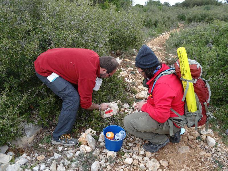 FEEC_cat's tweet photo. Gràcies a tothom que ho fa possible. 

Gràcies als milers de voluntaris i voluntàries de les entitats de la #FEEC. 

#sentlamuntanya #sommuntanya #DiaInternacionalVoluntariat https://t.co/R2iy6rO7LW