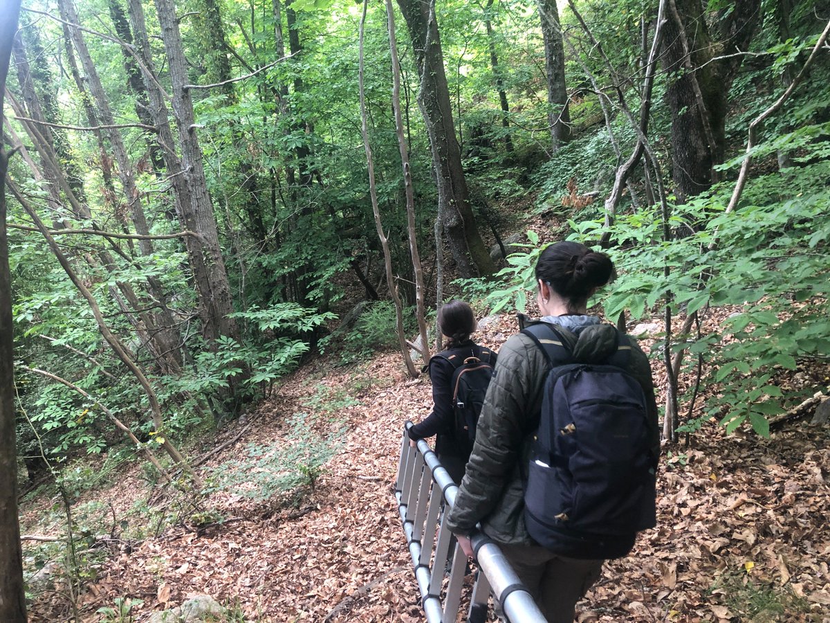 ProjecteLiro's tweet image. Amb motiu del #DiaInternacionaldelVoluntariat volem agrair a tothom qui d&apos;una manera o altra posa el seu granet de sorra dins el #ProjecteLiro🐭 

Continuem treballant amb moltes ganes que l&apos;equip lironaire segueixi creixent💪📈

📸: Emili Bassols