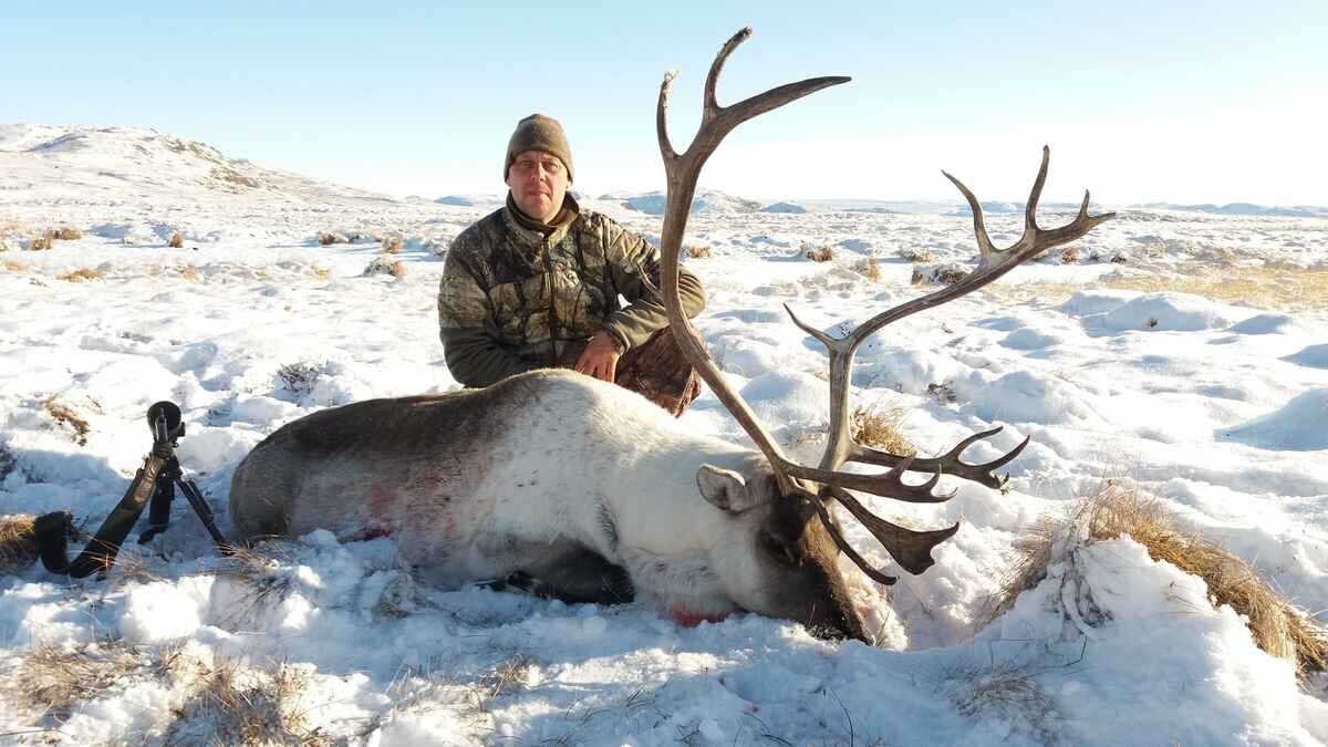 Campaign to Ban Trophy Hunting tweet media