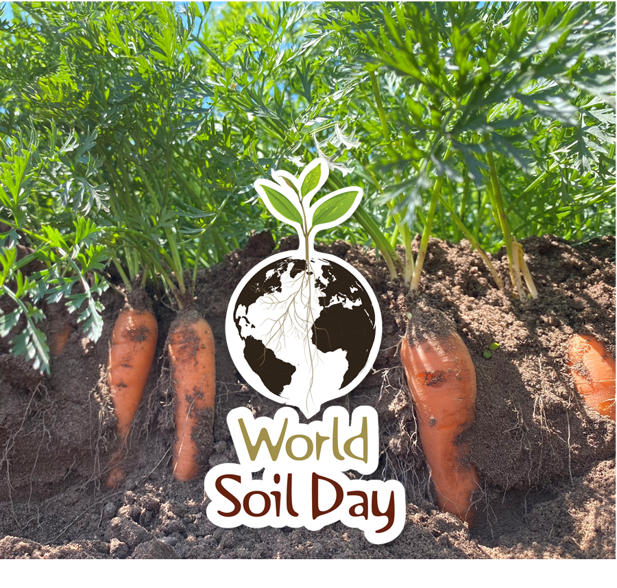 INNO-VEG tweet media