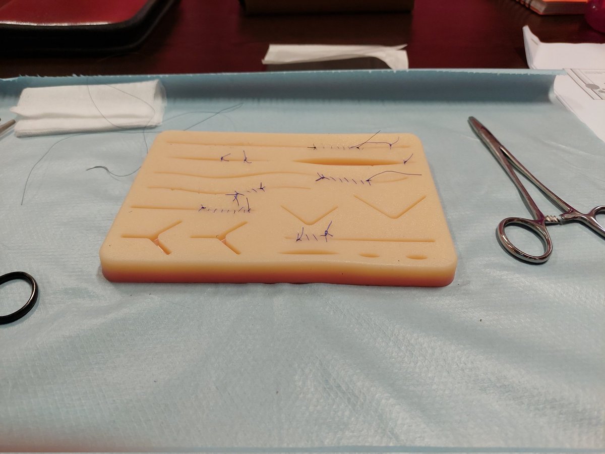 queer_chem's tweet photo. Improving my animal experimentation skills through the hands-on course delivered by CYROI! This afternoon, it is all about step by step suturing on artificial skin #Reunion #researcher #upskilling https://t.co/eaShHANCtz