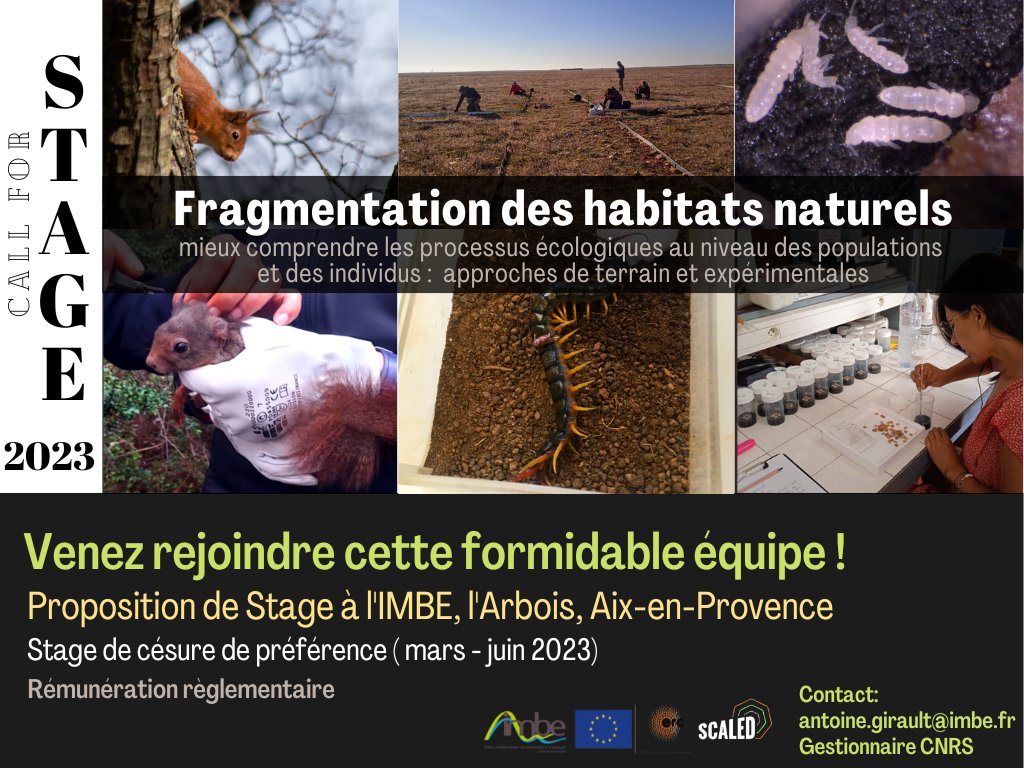 #Recrutement #offredestage #ecology #habitatfragmentation

📢We are happy to announce a new call to recruit a stagiaire to our wonderful team for 2023! @erc_scaled at @imbe_ppm 

🍃More info 👉 shorturl.at/fhsOV

🔥Don't miss this opportunity!