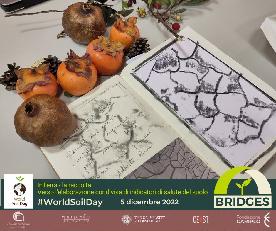 ProgettoBridges's tweet image. Anche un #suolo arido e degenerato può essere bello come un quadro.

Stimoli visivi e concettuali dalla rete di BRIDGES #INterra 
-&amp;gt; Vero l'elaborazione di indicatori di salute del suolo 
#WorldSoilDay2022