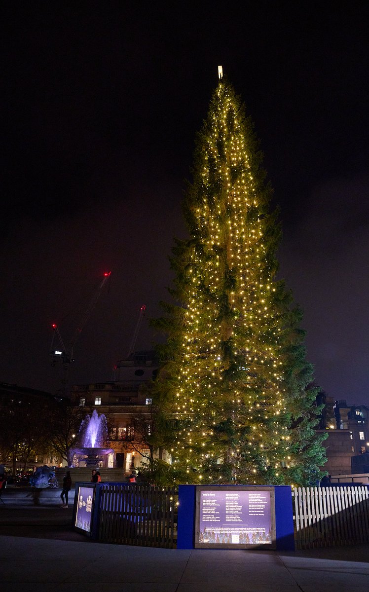 The Poetry Society (@poetrysociety) on Twitter photo ICYMI: last week we premiered <a href="/WakelingKate/">Kate Wakeling</a>'s new poem 'and a tree', written for the Trafalgar Square Christmas tree. Three children from local school <a href="/SohoParishScoop/">Soho Parish Primary</a> performed the poem at the lighting-up ceremony. Read the poem here and on the tree: bit.ly/lnmo 🎄 ICYMI: last week we premiered <a href="/WakelingKate/">Kate Wakeling</a>'s new poem 'and a tree', written for the Trafalgar Square Christmas tree. Three children from local school <a href="/SohoParishScoop/">Soho Parish Primary</a> performed the poem at the lighting-up ceremony. Read the poem here and on the tree: bit.ly/lnmo 🎄