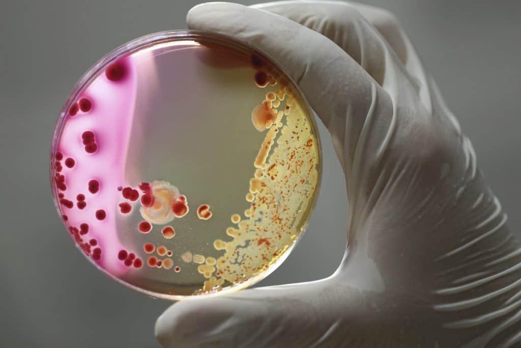 Surging Predominance Of #Echovirus #Infections Is Projected To Drive The Growth Of #EchovirusDiagnostics Market
More @ 5mp2.short.gy/NJhHiD
#Immunoassays #molecularbiology #biotech #healthcare #virus