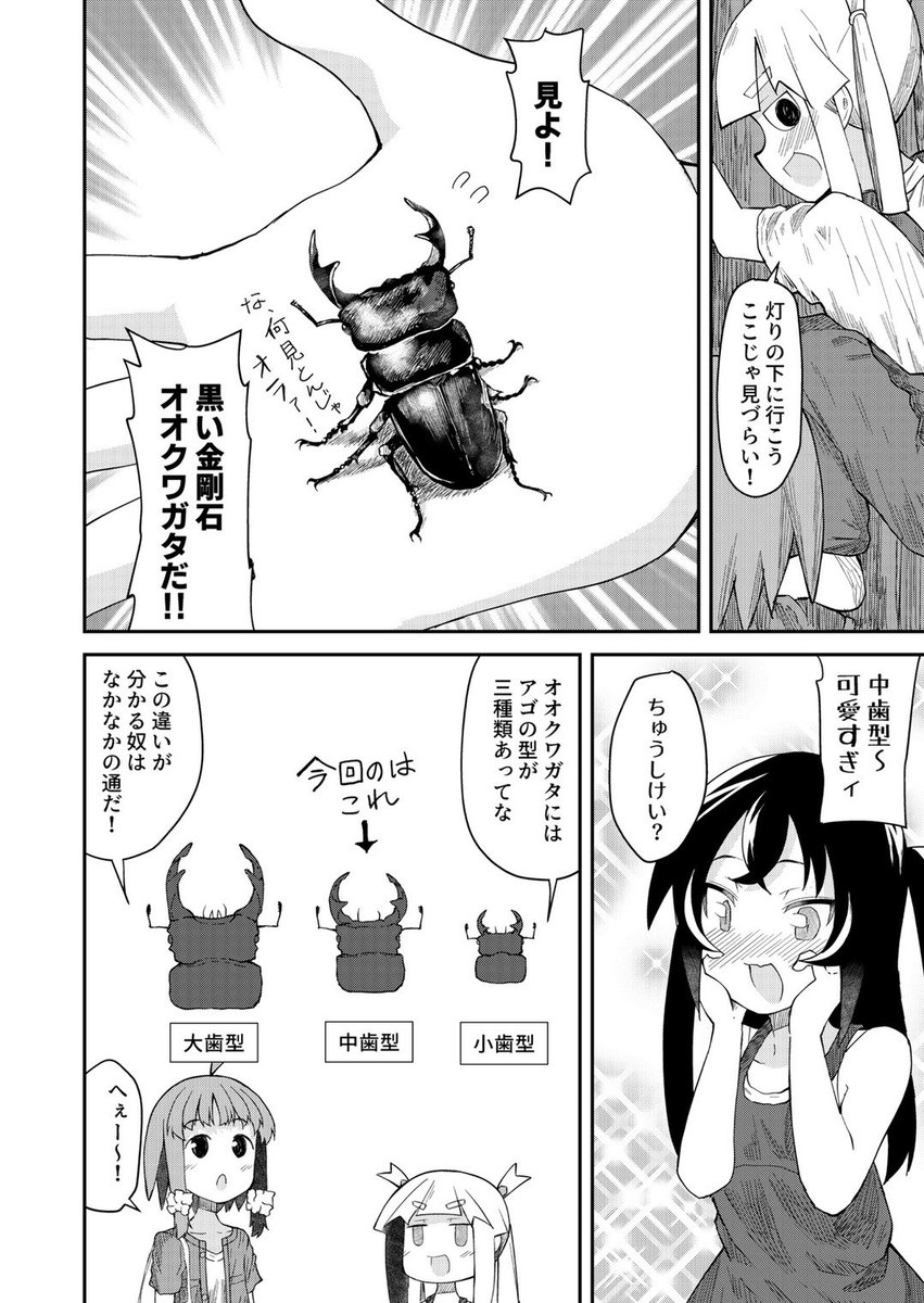 #相互さんの相互さんと繋がりたい

好きな漫画や甲虫をぜひ教えてください🐞 