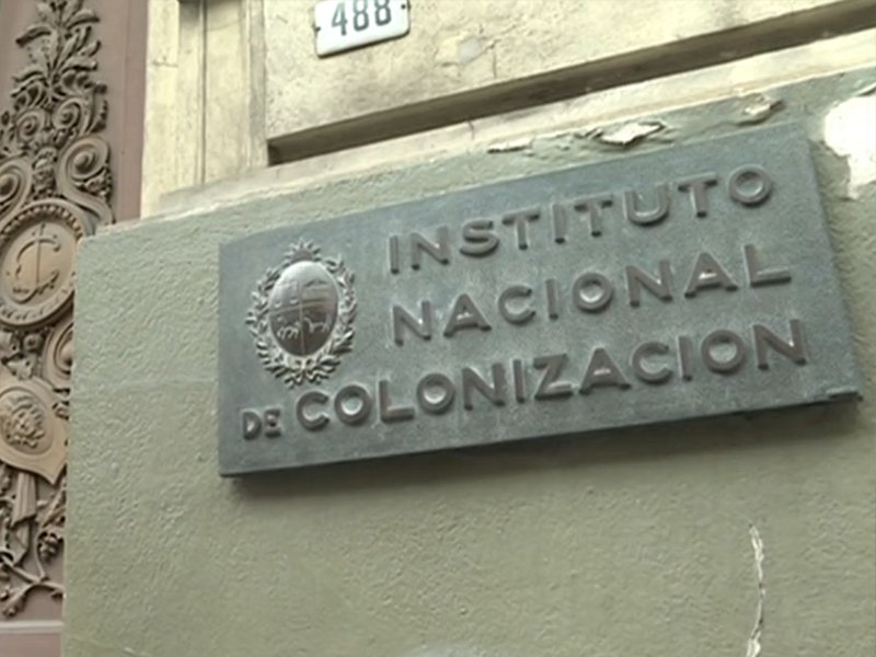 Nada que perder tweet media